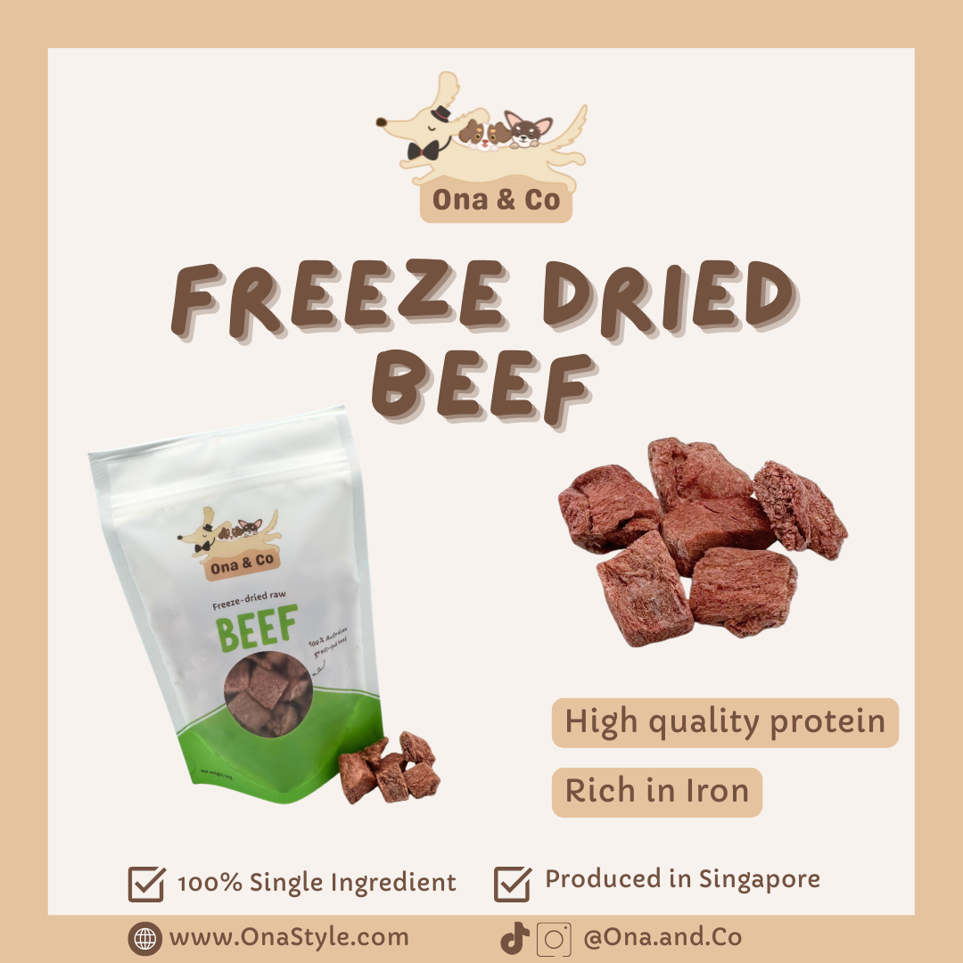 Freeze Dried Beef