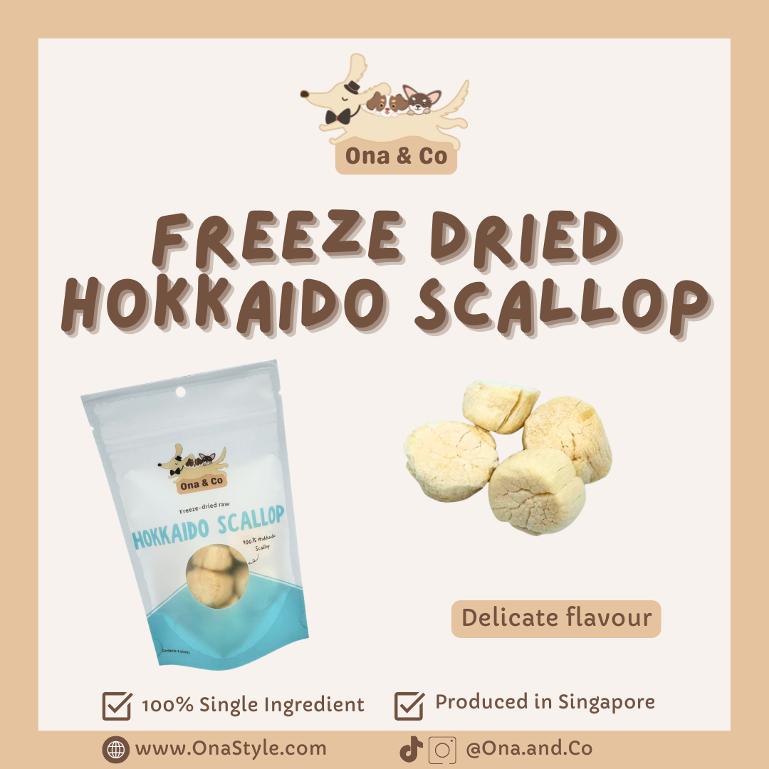 Freeze Dried Hokkaido Scallop