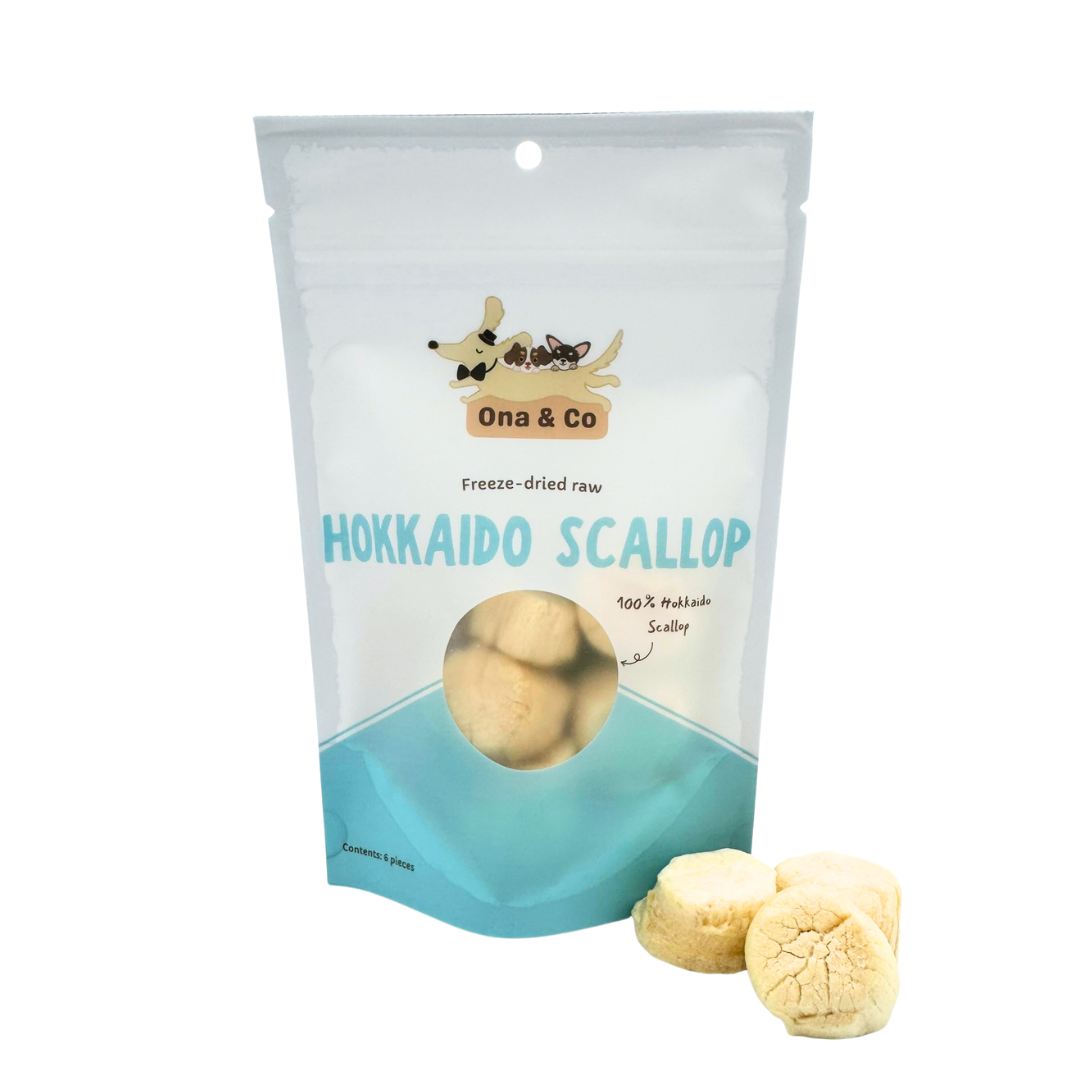 Freeze Dried Hokkaido Scallop