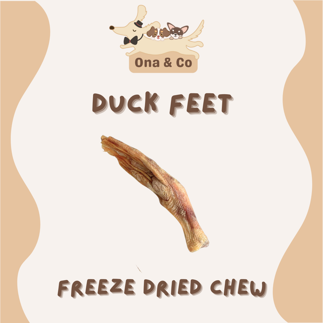 Freeze Dried Duck Feet