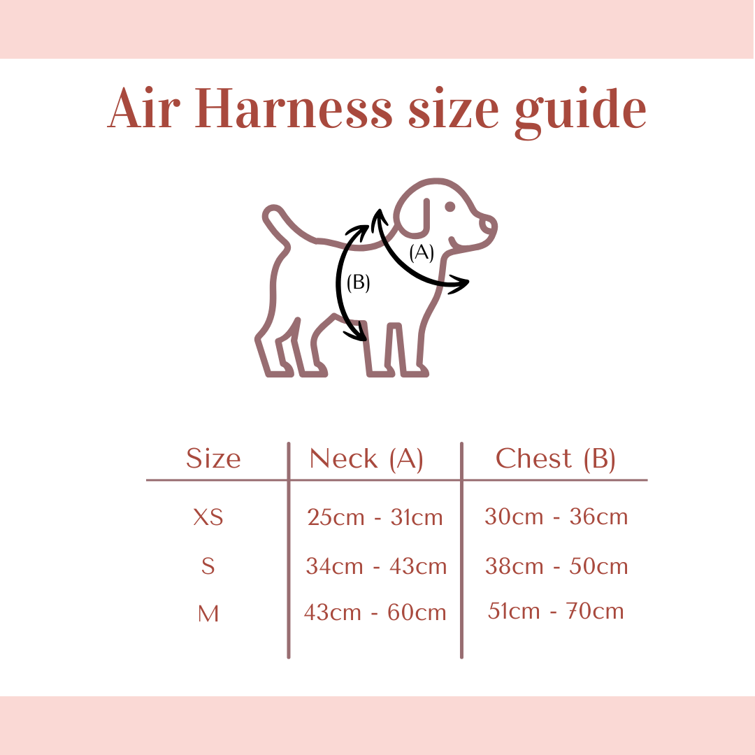 Air Harness - Baby Blue