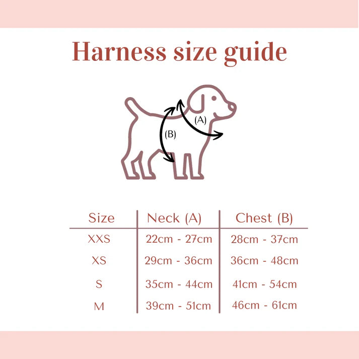 Adjustable harness - Midnight Galaxy