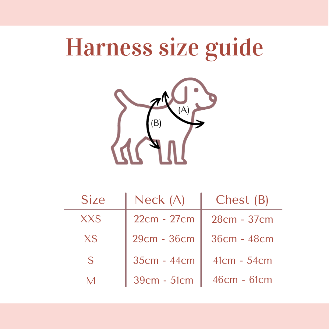 Adjustable harness - Rainbow Paws