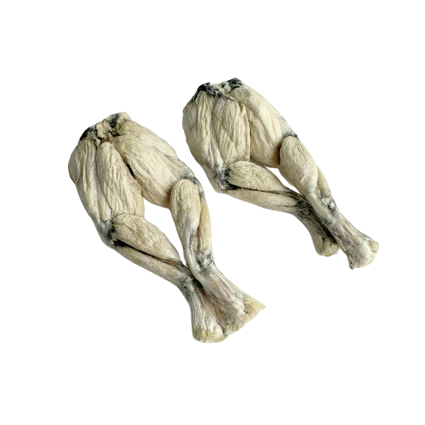 Freeze Dried Frog Leg
