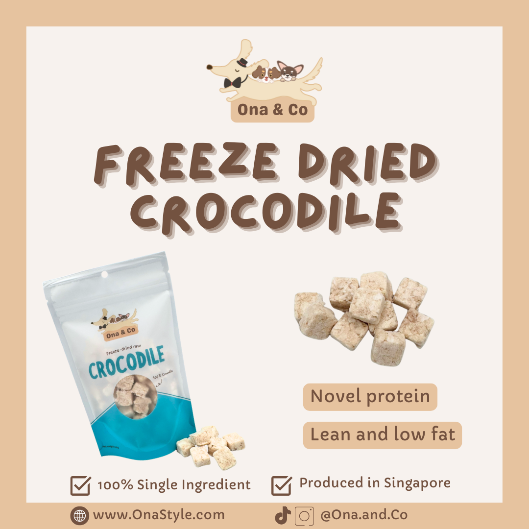 Freeze Dried Crocodile