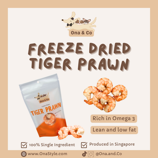 Freeze Dried Tiger Prawn
