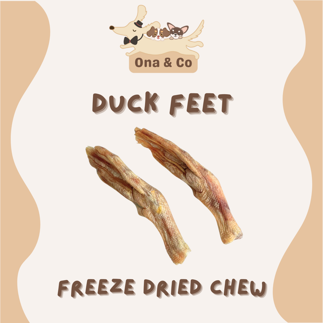 Freeze Dried Duck Feet