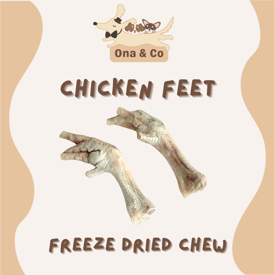 Freeze Dried Chicken Feet