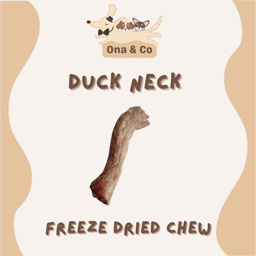 Freeze Dried Duck Neck