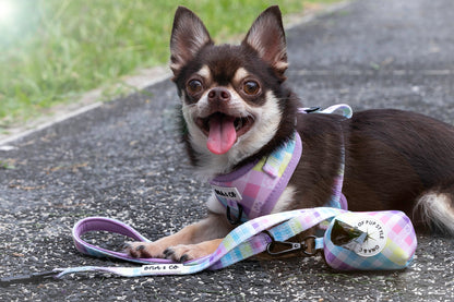 Adjustable harness - Rainbow Paws